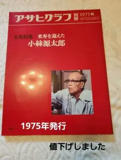 2025年最新】小糸源太郎の人気アイテム - メルカリ