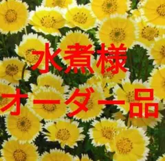 水煮様 リクエスト 3点 まとめ商品