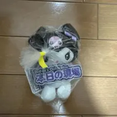クロミ　サンリオキャラクターズ　いっしょに推し活！