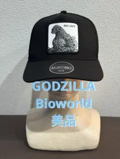 Item thumbnail for item 2f72ce98-77eb-455c-9a25-575a36cc7b6d