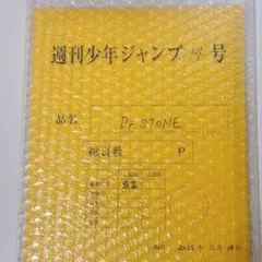 Dr.STONE 応募者全員サービス 最終話まるごとデジタル原稿プリント