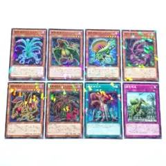 遊戯王 捕食植物 ノーパラ ノーマルパラレル 8枚セット