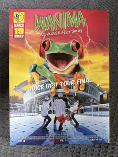 JUN様専用DVD2点まとめ売り
