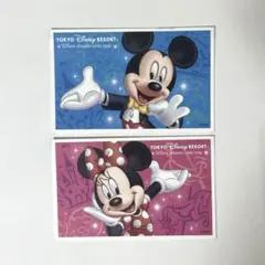 東京ディズニーリゾート 使用済み紙チケット 2枚セットのサムネイル