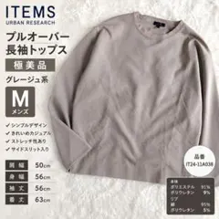 極美品 ITEMS URBAN RESEARCH プルオーバー M グレージュ