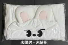 Stray Kids スキズブランケット Leebit ヒョンジン新品未開封 2026年最新】リービット ブランケットの人気アイテム - メルカリ