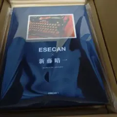 ポルノグラフィティ 新藤晴一×ESECAN Tシャツ　新品 新品】ポルノグラフィティ 新藤晴一×ESECAN Tシャツ Lサイズ