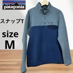 Item thumbnail for item 52fbf711-7f75-41e9-b4ed-ea36ab59cc98