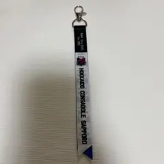 北海道コンサドーレ札幌 ボンフィン