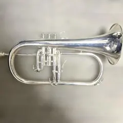 g*o様 フリューゲルホルンケース ヤマハ YFH8310Z トランペット YFH-8310Z | 【クロサワ楽器店オンラインショップ】いい楽器との