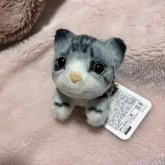 REALANIMAL☆ 猫つまんでマスコット ぬいぐるみ 猫 ⭐️ラスト1点