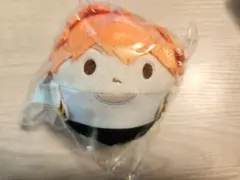 ハイキュー　ふわコロりん9　日向翔陽　ぬいぐるみ