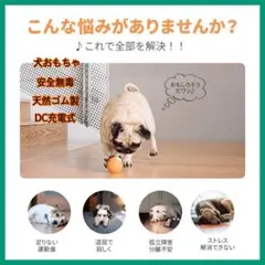 Item thumbnail for item bf971ad7-f06b-4a6c-81aa-68bde0999e56