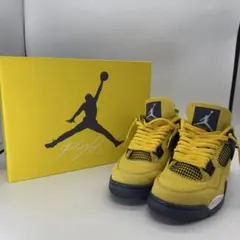 確実正規品　美品　NIKE Air Jordan 4 ライトニングUS10.5のサムネイル