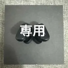 BOSE QuietComfort Earbuds II イヤホンのみ