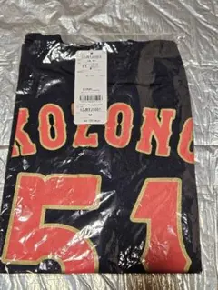 Item thumbnail for item 9b2eecd9-10fd-4585-8a4c-de2eeba3d877