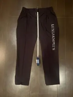 リュクスエイケイエムプラス