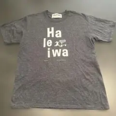ハレイワ Tシャツ