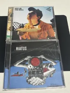 ELLEGARDEN the HIATUS CD2枚まとめ売り
