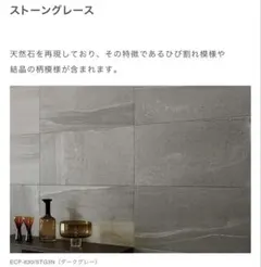 【複数在庫有】 エコカラットプラス　ストーングレース ダークグレーのサムネイル