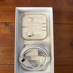Apple イヤフォンと充電ケーブルセット