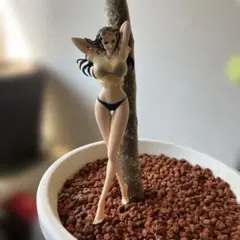 ニコ・ロビン ワンピース