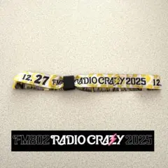 2026年最新】アイナ・ジ・エンド ラバーバンドの人気アイテム - メルカリ