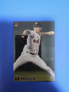 Item thumbnail for item ad499173-5da7-4473-965c-fc153076f778