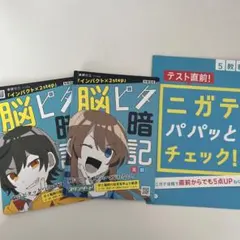 進研ゼミ 中学講座 脳ピタ暗記 中2 3冊セット