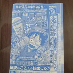 P-033 ワンピースカード ジャンプ 2023年6・7号 モンキー・D・ルフィ