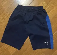 PUMA ネイビー ジャージ ハーフパンツ