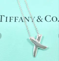 ティファニー ネックレス グラフィティ X キス パロマピカ