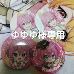 ゆゆゆ様専用 けちゃくんセット