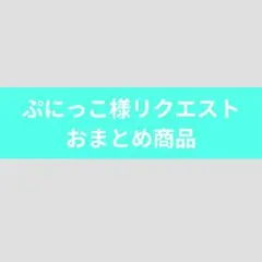 ぷにっこ様 リクエスト 2点 まとめ商品