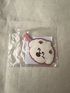 TXT ボムギュ ヘアクリップ プルバトゥ　バムグッ