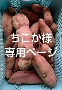 ちこか様専用ページです