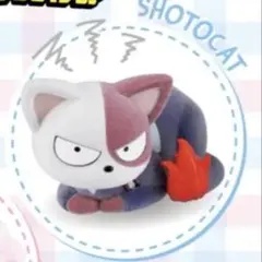 新品未開封　ヒロアカ　フラッフィーパフィー　ショートキャット　フィギュア　轟焦凍