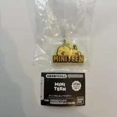 MINITEEN ぷっくりめじるしアクセサリー ホシ TAMTAM
