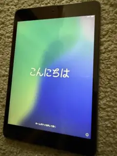 Apple iPad mini 5 スペースグレー 7.9インチ 本体