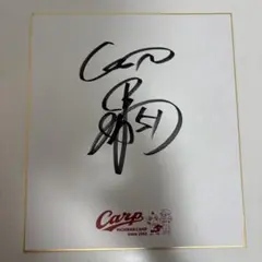 広島東洋カープ　直筆サイン色紙　11枚セット ☆Carp 広島東洋カープ 直筆 サイン色紙 『植田幸弘 23』『石橋文雄 52