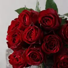 バラの森 切花セット 生花 ネコポス - メルカリ