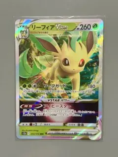 2026年最新】リーフィアvstarの人気アイテム - メルカリ