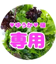 ♡ゆうか♡様✨専用