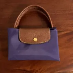 ロンシャン　ルプリアージュM/紫