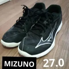 Item thumbnail for item 3175745d-3e7e-4a01-a22d-f2d4035250a8