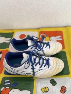 ミズノ MONARCIDA neo 23.5cm