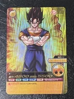 ファイナルかめはめ波 FB10-045 フュージョンワールド リミテッド