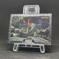 PBF39 ハリーポッター kakawow Phantom