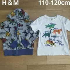 H &M＊恐竜トップス 2点