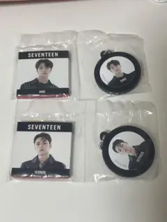 SEVENTEEN DinoとVernonレコードマグネットチャーム ガチャ